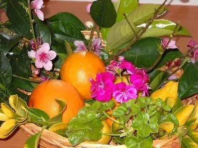 Geraeumige In Unmittelbarer Naehe Des Fantastischen Dorfes Tropea *