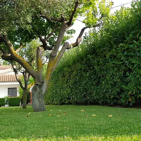 Geraeumige In Unmittelbarer Naehe Des Fantastischen Dorfes Tropea Apartamento *